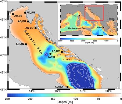 Population Genetic Structure and Connectivity of the European Lobster Homarus gammarus in the Adriatic and Mediterranean Seas